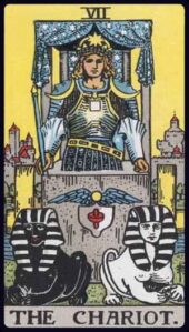 card-12