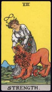 card-13