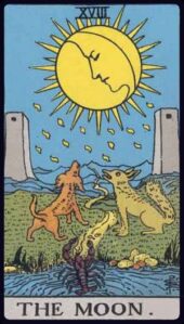 card-22